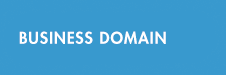 business damain